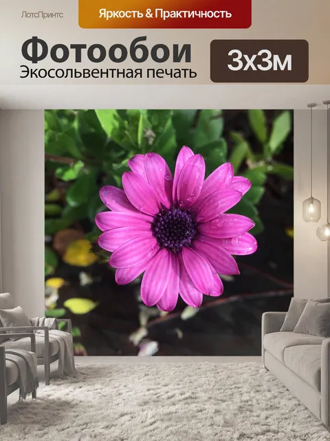Фотообои Фиолетовый