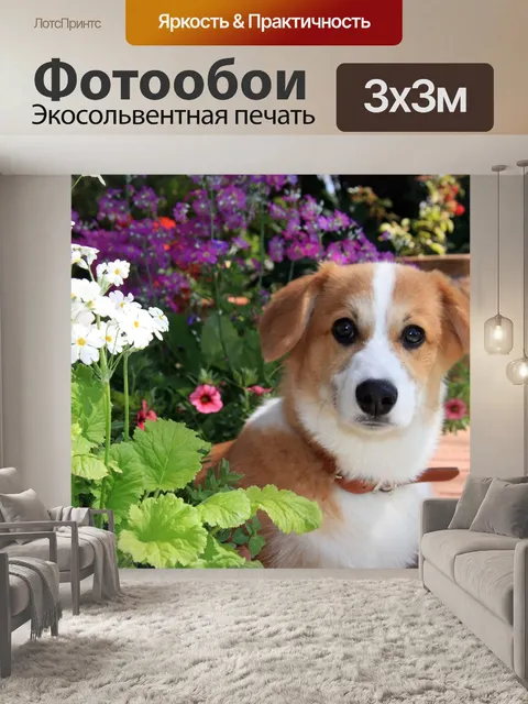 Фотообои Собака