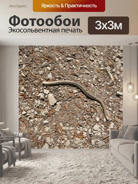 Фотообои Слепой червь
