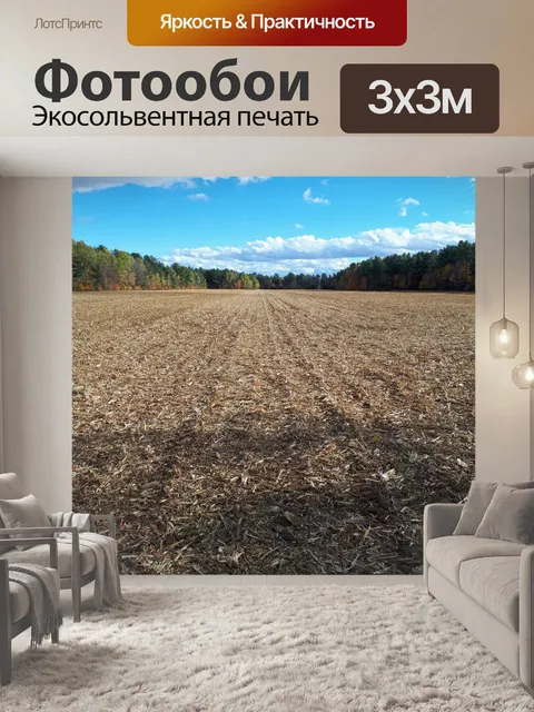 Фотообои Кукурузные поля после сбора урожая