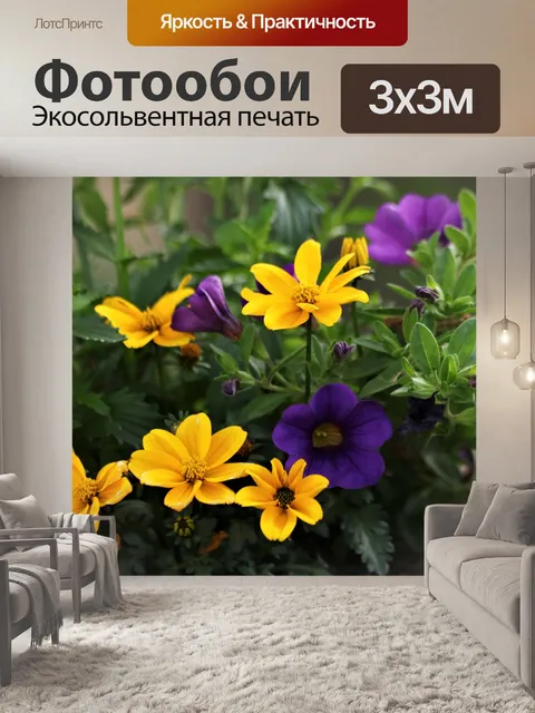 Фотообои Фиолетовые и желтые цветы крупным планом