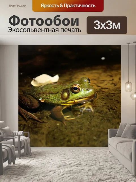 Фотообои Зеленая лягушка в воде