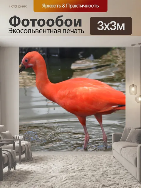 Фотообои Ibis Красная 06