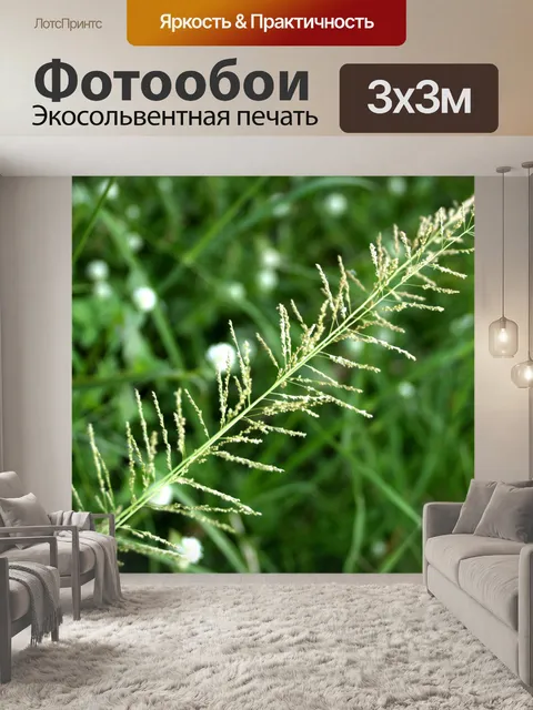 Фотообои Сухой дикий цветок