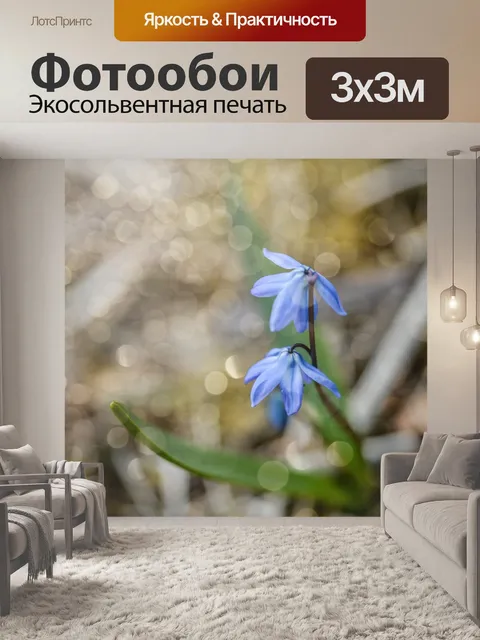 Фотообои цветы, солнце, природа