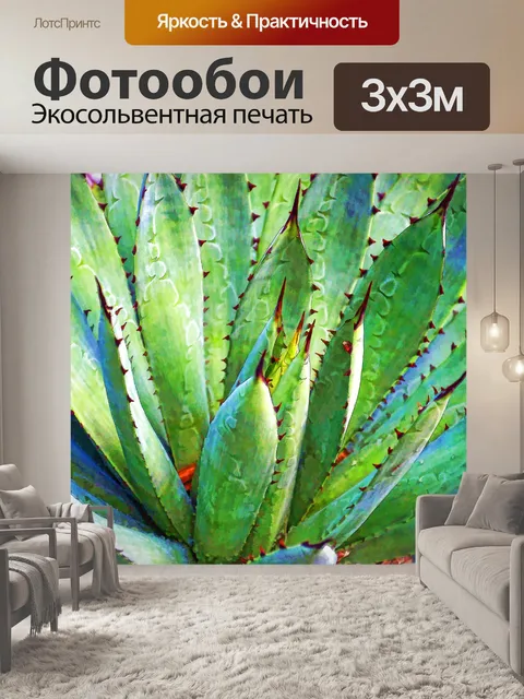 Фотообои Фон агавы