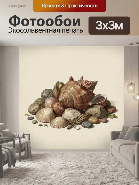 Фотообои Морские раковины и камни