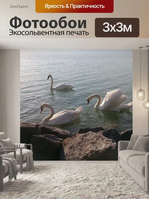 Фотообои Лебедь