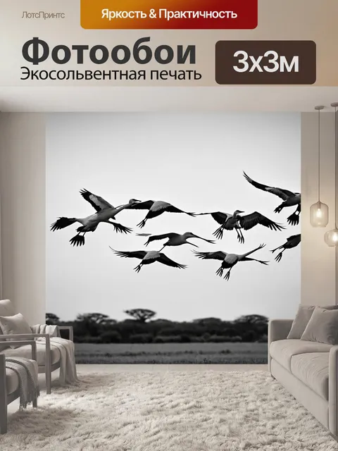 Фотообои животные в стиле черно-белый: стая журавлей