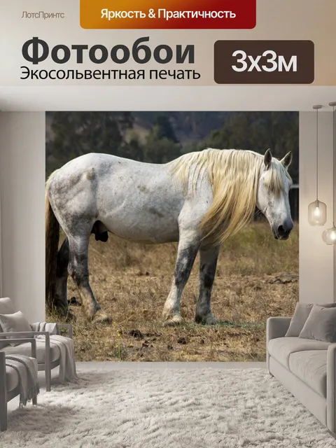 Фотообои белая лошадь