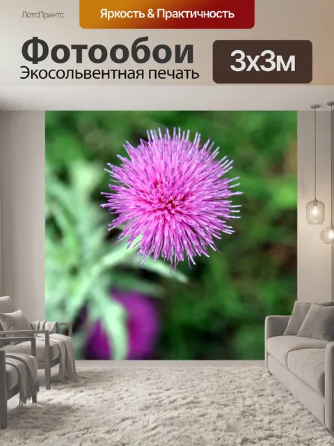 Фотообои Фиолетовый цветок чертополоха