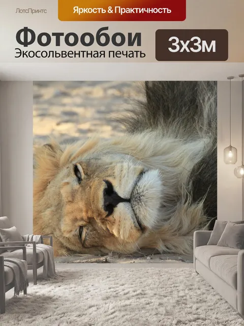 Фотообои Лев