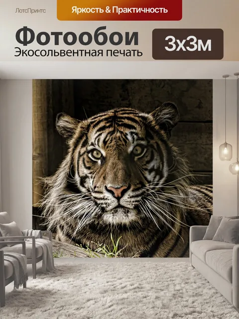 Фотообои Тигр