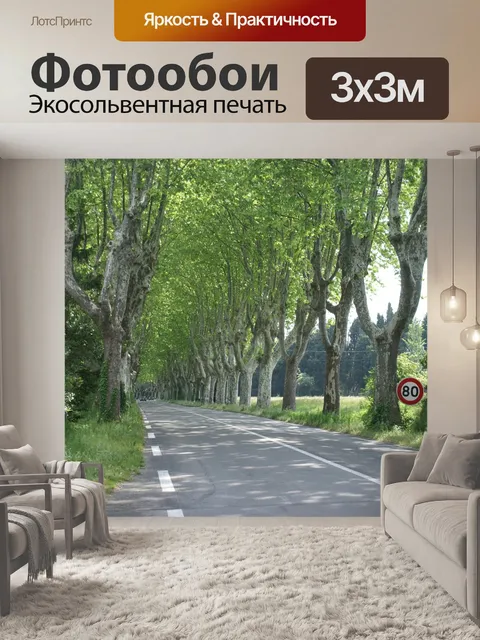 Фотообои Юг франции