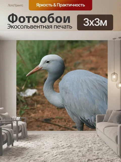 Фотообои синий кран птицы