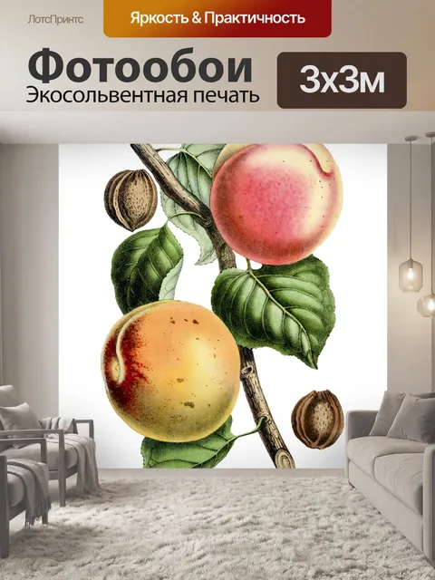 Фотообои Персики фрукты винтаж искусство