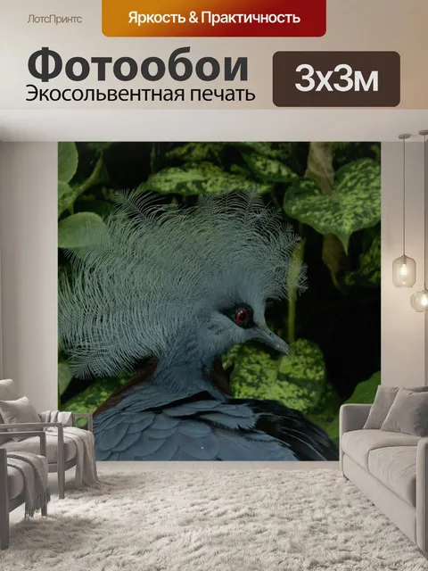 Фотообои Птица