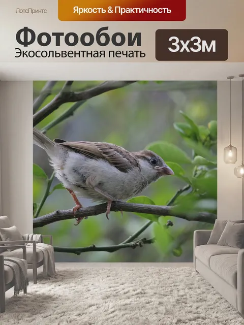 Фотообои Птицы