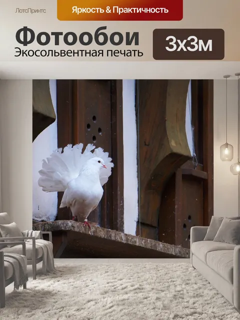 Фотообои Птица