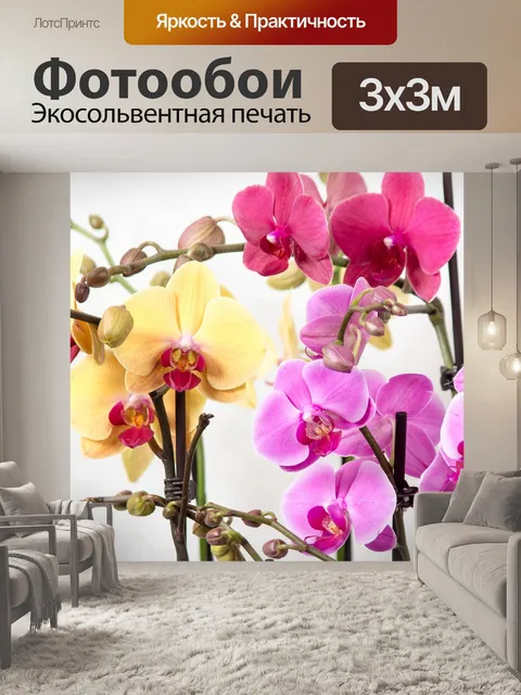 Фотообои Орхидея