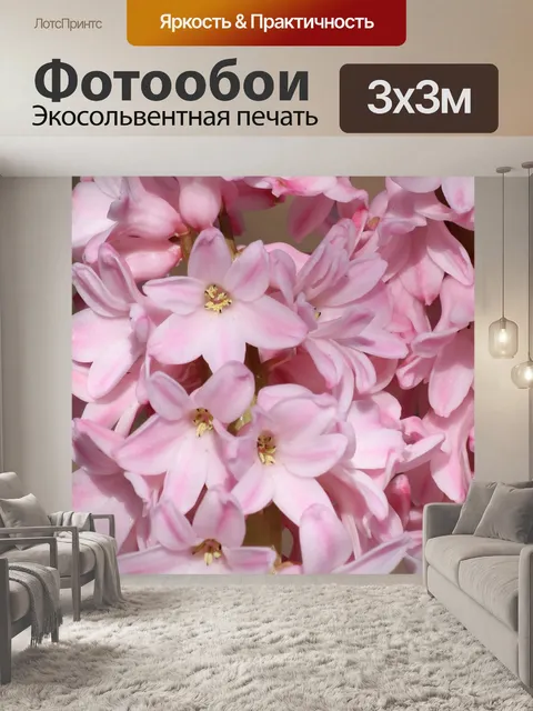 Фотообои Розовый гиацинт Цветы крупным планом