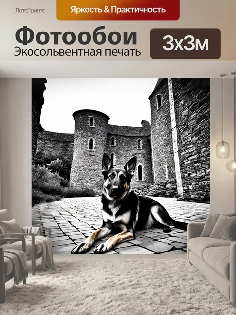Фотообои немецкая овчарка на фоне старинного заброшенного замка, лежащая на плиточном полу