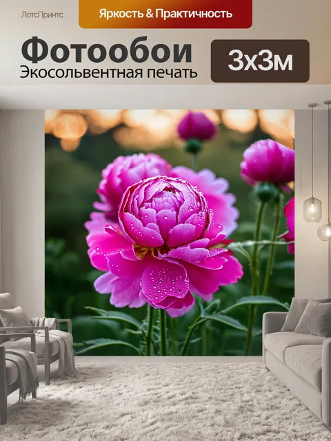 Фотообои низкий ракурс на розовые пионы в утреннем саду, среди которых видны капли росы, сверкающие на часах