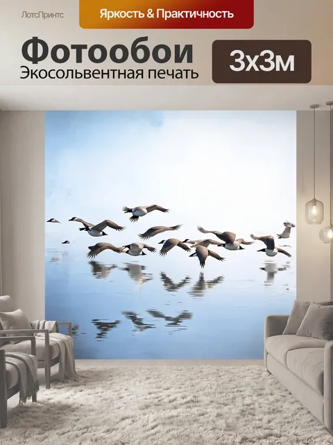 Фотообои стая гусей летит над спокойной поверхностью озера