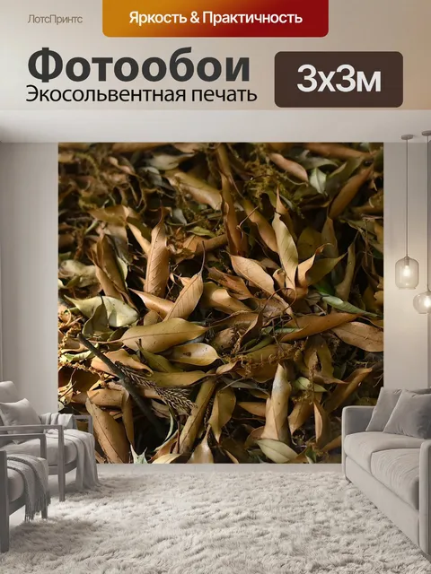 Фотообои Опавшие листья
