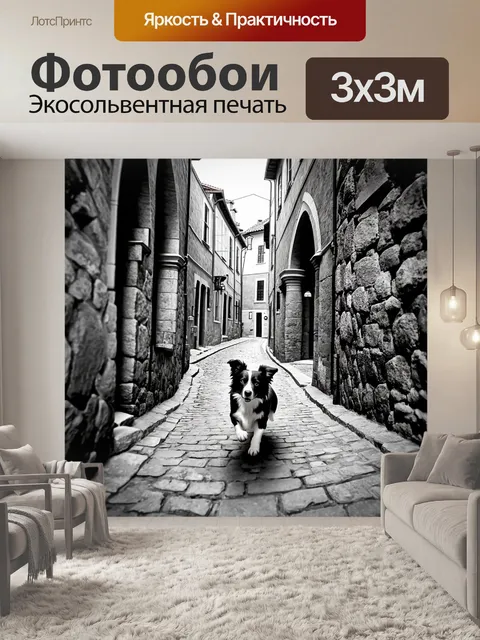 Фотообои интригующий городской пейзаж с бордер-колли