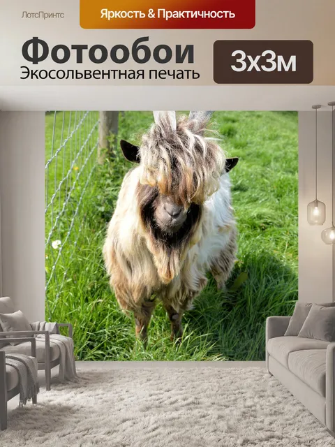 Фотообои Козел
