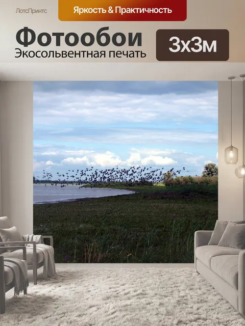 Фотообои Перелетные птицы