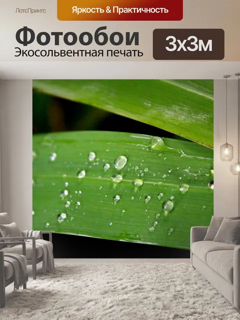 Фотообои листья с каплями воды
