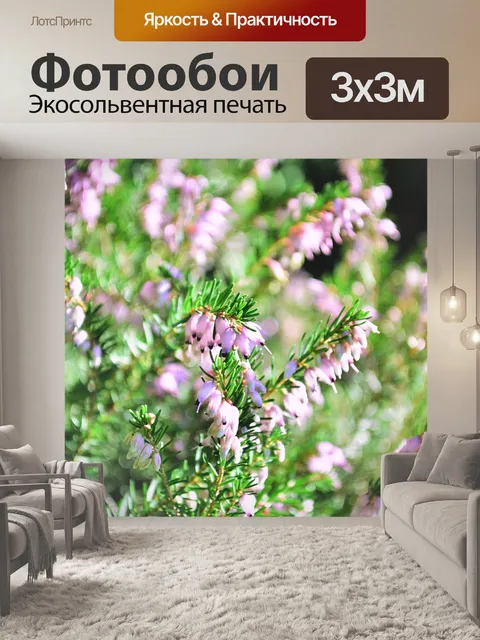 Фотообои Фиолетовый