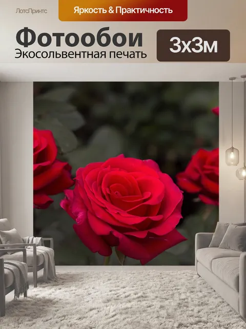 Фотообои Роза
