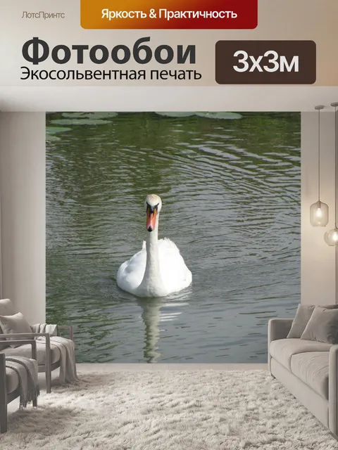 Фотообои Белый лебедь