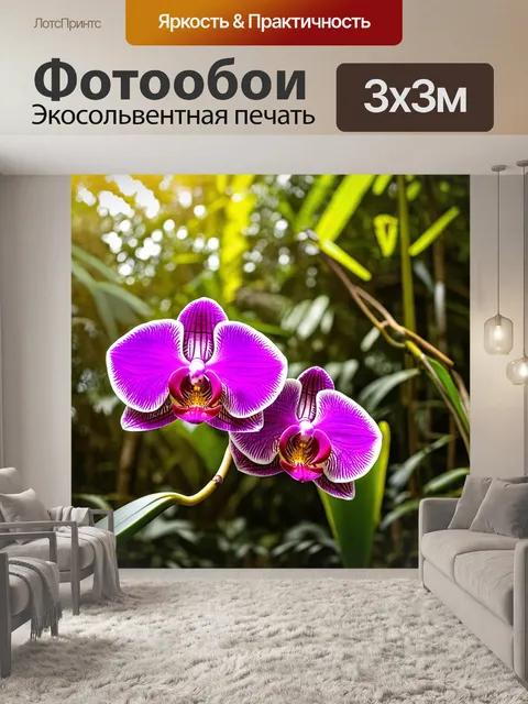 Фотообои орхидея, распустившая свои яркие лепестки на фоне тропического леса, где солнечные лучи пробиваются сквозь…