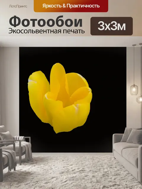 Фотообои Желтый тюльпан