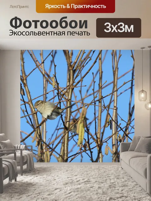 Фотообои Воробей