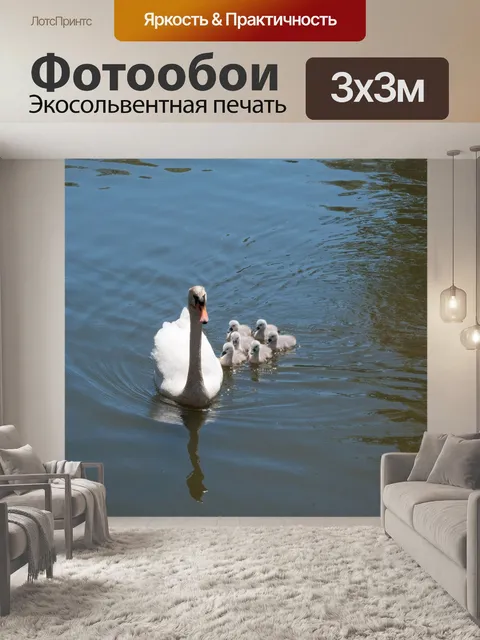 Фотообои Мама лебедь