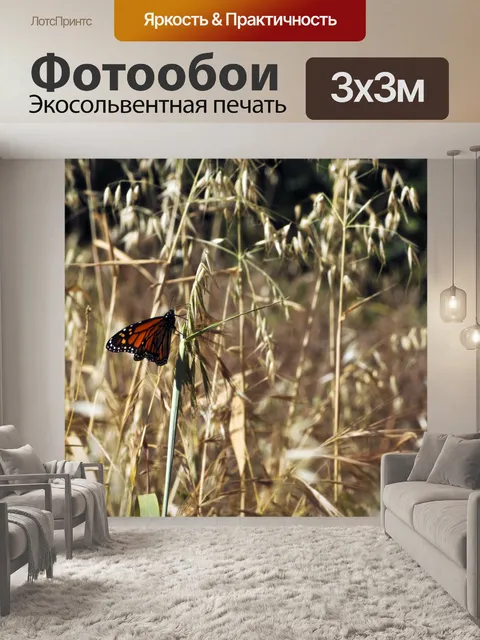 Фотообои Бабочка монарх в желтом поле
