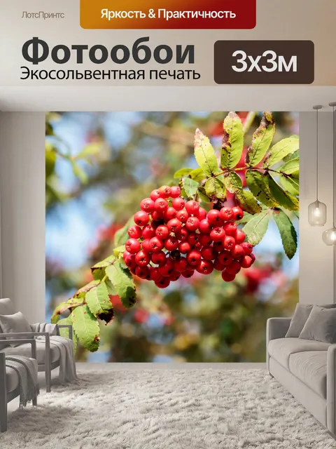 Фотообои Красные ягоды на рябина