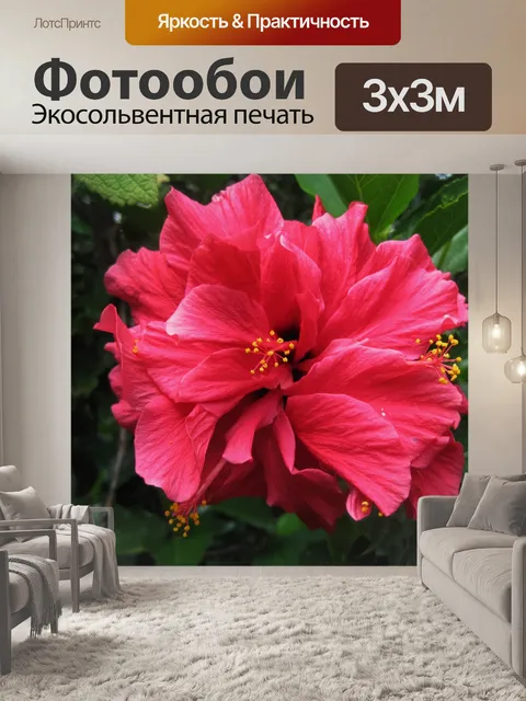 Фотообои розовый гибискус