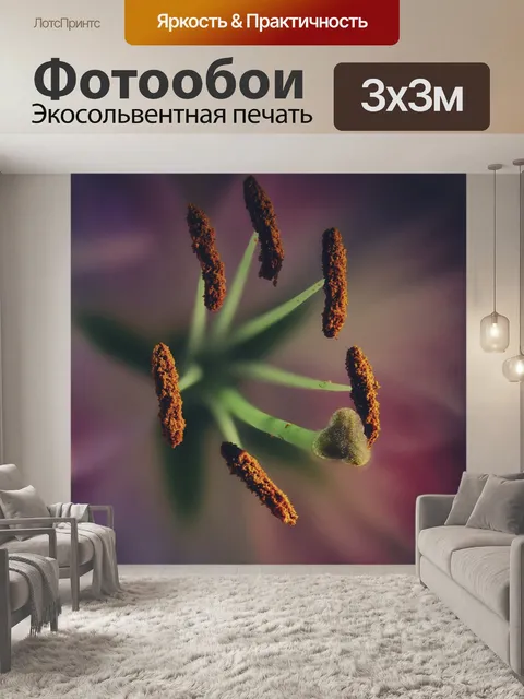 Фотообои Лили