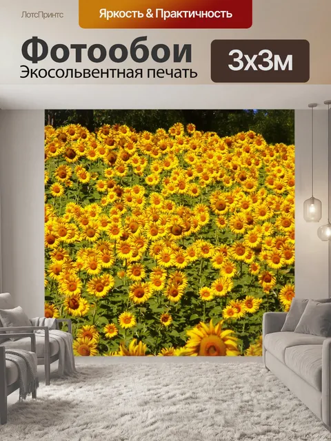 Фотообои Подсолнечник, желтый цветок, Helianthus