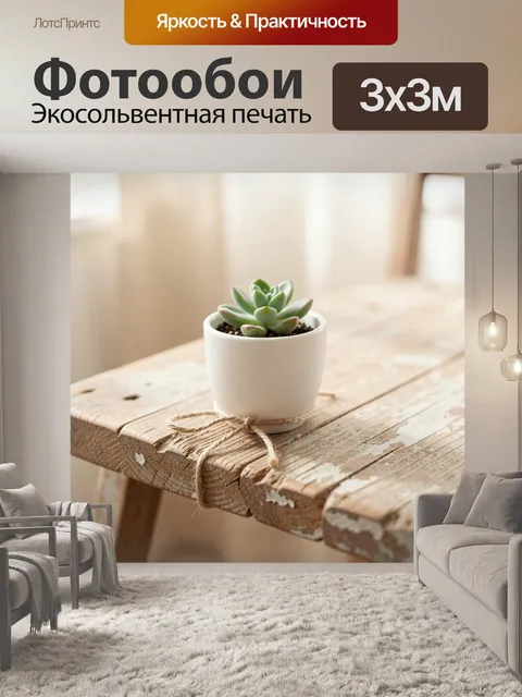 Фотообои Суккулент в белом горшке