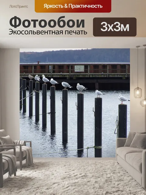 Фотообои Чайки