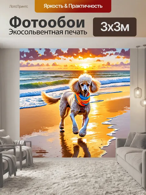 Фотообои пудель во время утренней пробежки по пляжу, носящий яркий платок на шее