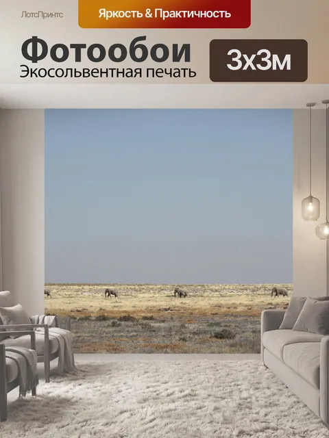 Фотообои Намибия