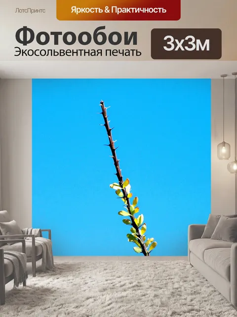 Фотообои Окотильо в город скал